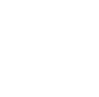 Zora Digital